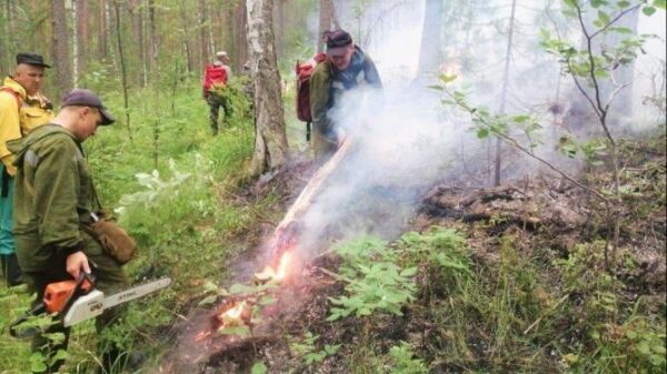 Площадь пожара в уральском заповеднике «Денежкин камень» увеличилась в 4,4 раза