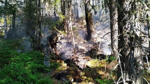 Сильный пожар вспыхнул в уральском заповеднике «Денежкин камень»