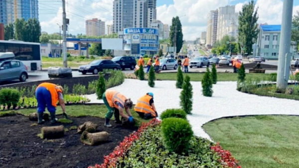 В Липецке сотрудники «Зеленхоза» высадили на клумбы уже 560 тысяч цветов