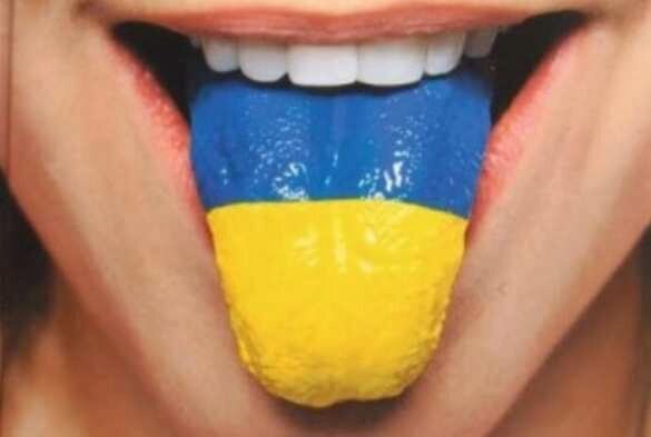 В МИД прокомментировали решение КС Украины о государственном языке