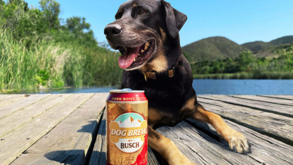 Anheuser-Busch уверен, что ваша собака тоже хочет пива