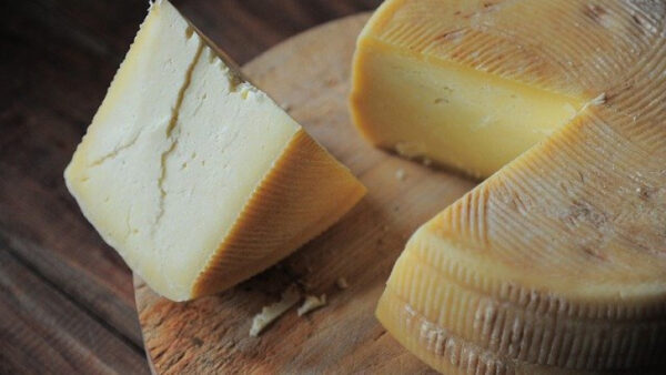 Два сыра из Липецкой области отправились на конкурс «Вкусы России»