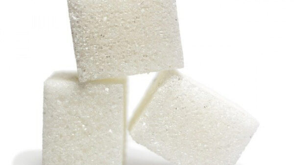 Из свеклы нового урожая в Липецкой области произвели почти 5 тысяч тонн сахара