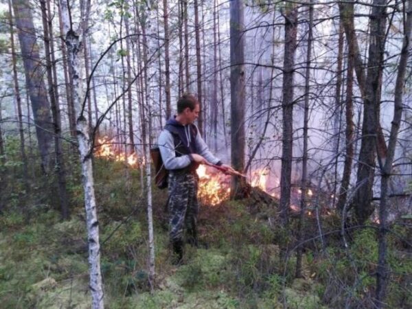 Из-за пожара под Первоуральском были эвакуированы дачники и две базы отдыха