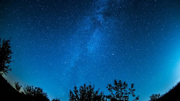 Липчане увидят звездопад Персеиды в ночь на 13 августа