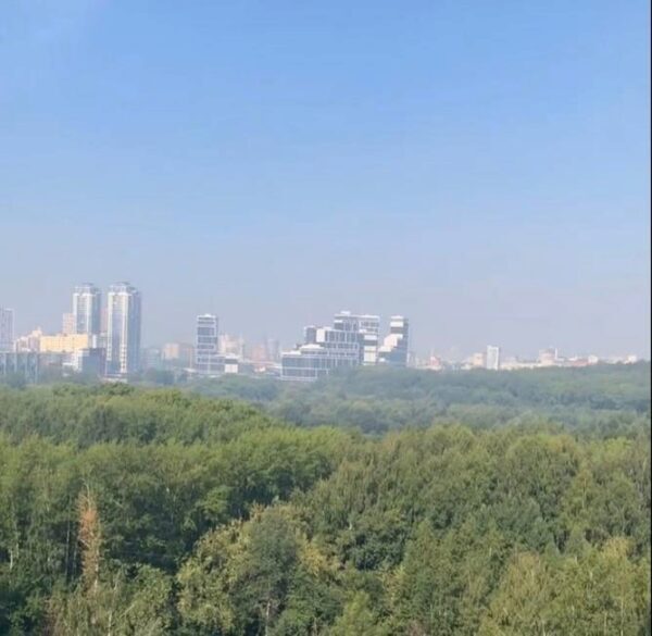Уральскую столицу вновь накрыл смог и запах гари