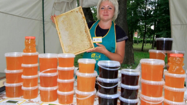 В Нижнем парке Липецка 10 дней будет работать медовая ярмарка