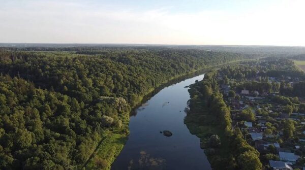 В Подмосковье готовится масштабное экологическое преступление?