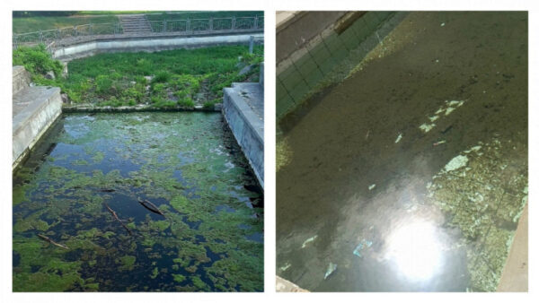 В Задонске активисты расчистили бассейн у храма