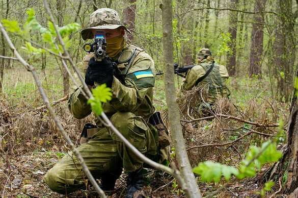 ВСУ скрытно перебросили спецгруппу на линию фронта под Луганском (ФОТО, ВИДЕО)