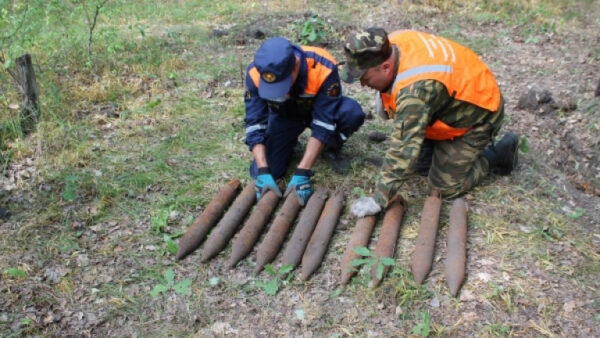 10 реактивных снарядов от «Катюши» нашли в Липецкой области