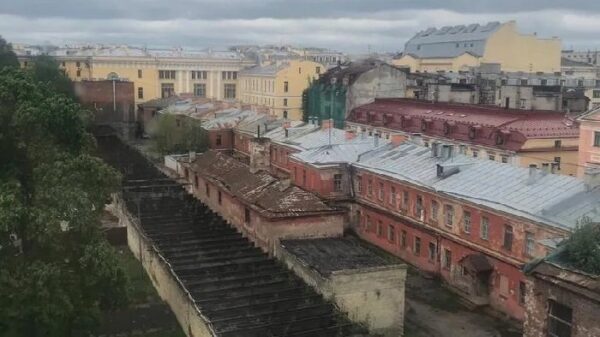 «Не сносите, касатики!» – в Петербурге защищают Воронцовский дворец