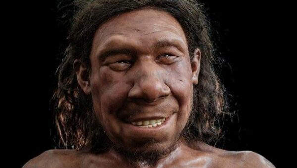 Ученые воссоздали облик неандертальца, жившего 50-70 тыс. лет назад