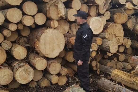 В ЕС требуют от Украины отменить мораторий на экспорт леса