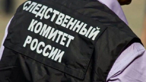 Липецкую чиновницу осудят за получение 1,7 млн рублей субсидий обманом