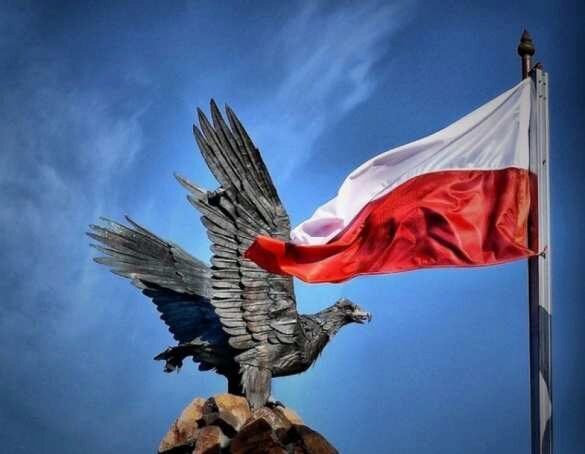 Польша против Евросоюза: в минюсте предложили не платить взносы в бюджет ЕС
