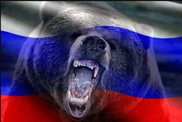«Прекратите тыкать палкой в медведя»: британцы осудили действия НАТО близ российских границ