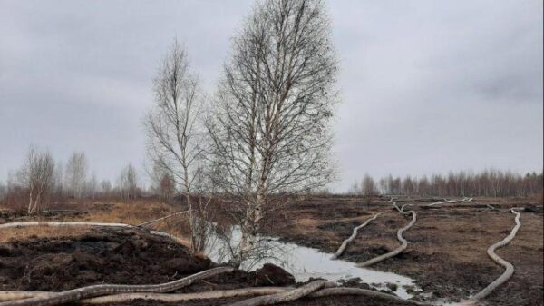 Торфяники, ставшие причиной смога и запаха гари в Екатеринбурге, полностью потушены