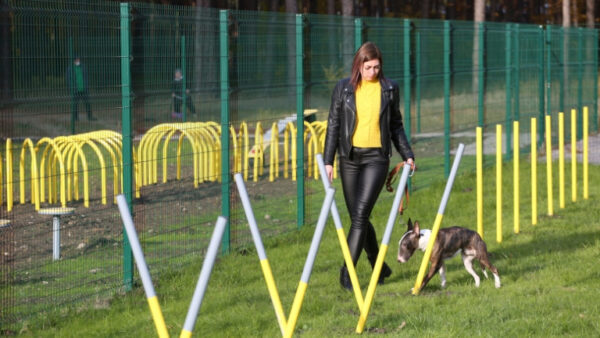 В Липецке до конца года в Университетском обустроят площадку для выгула собак