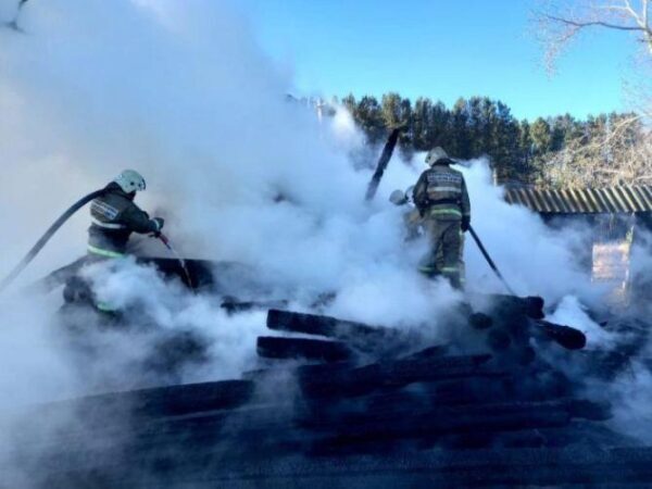 Двое детей погибли во время пожара в частном доме в Камышловском районе