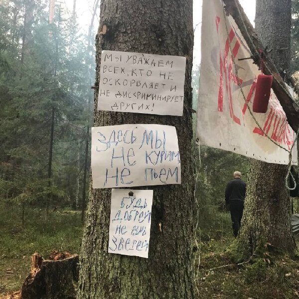 Экозащитники разбили лагерь в ленинградских лесах