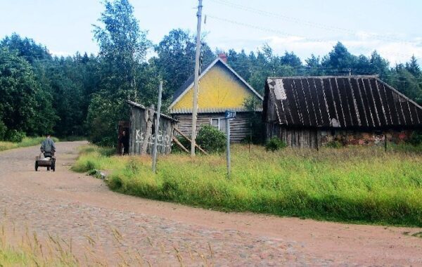 Медведи атакуют деревню в Ленобласти