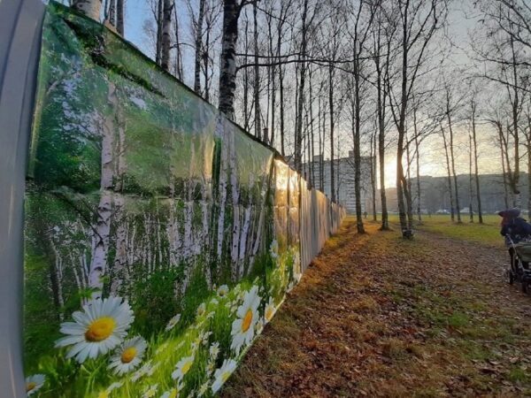 Петербургский Муринский парк оставлен в зоне зеленых насаждений