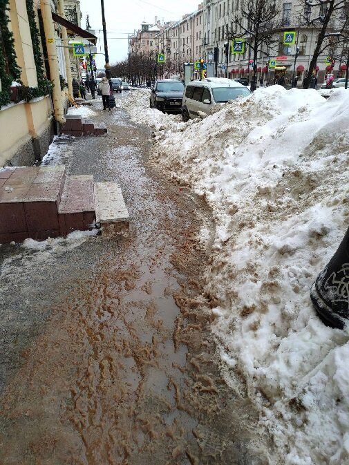 Беглов включился в решение «снежных» проблем города после появления первых пострадавших