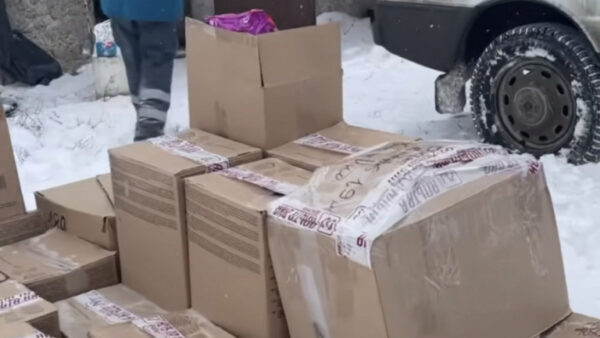 Известная актриса Настя Задорожная привезла тонну кормов в Елецкий приют для бездомных животных