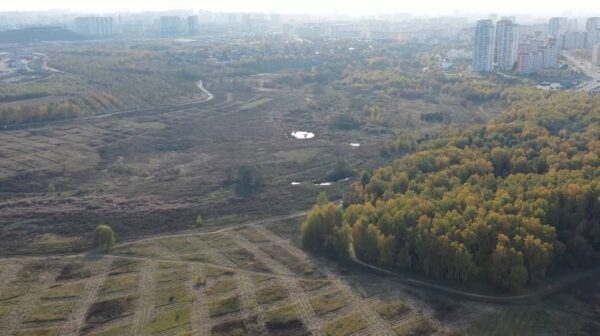 Минприроды РФ назвало незаконной планируемую застройку Косинских полей в Москве