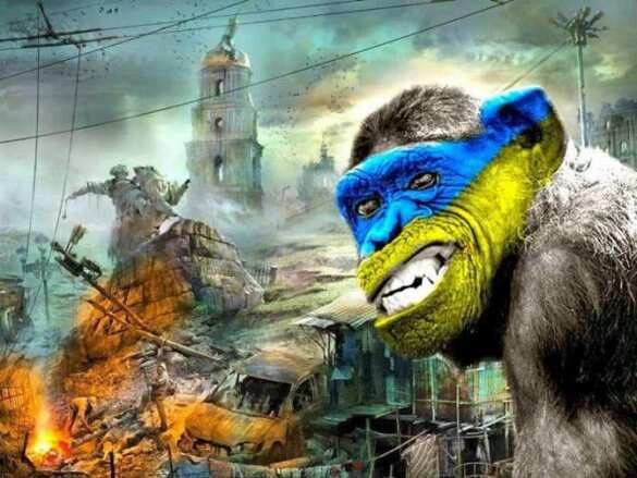 На Украине запустили «обезьяний флешмоб»