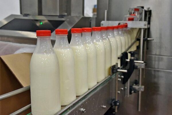 Уральские ученые получат грантовую поддержку на исследование молока