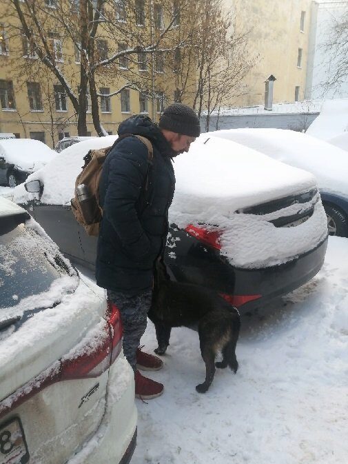 В Петербурге похищенный мусорный бак разыскала собака