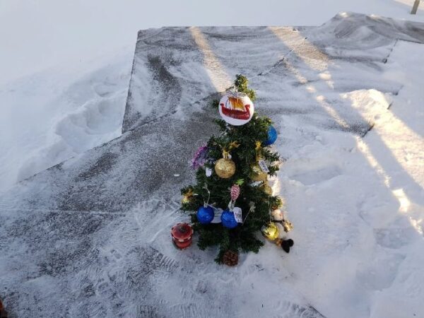 В Петербурге прошла предновогодняя акция в защиту Охтинского мыса