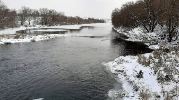 Липецкие экологи продолжат расчистку рек Сосна и Красивая Меча