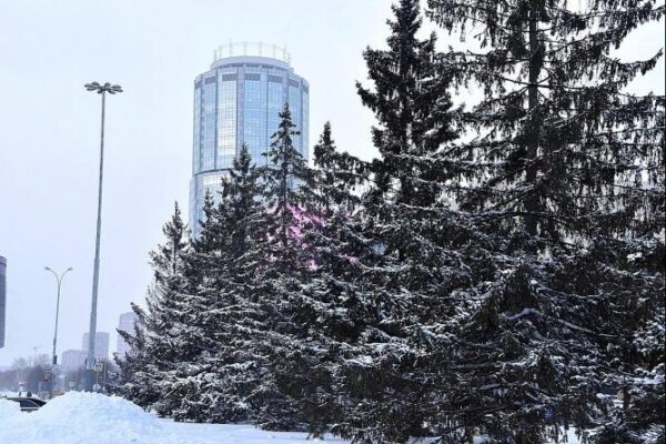 После небольшого потепления в Свердловскую область снова придут холода