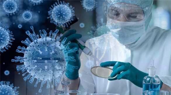 Учёные обнаружили новый штамм коронавируса
