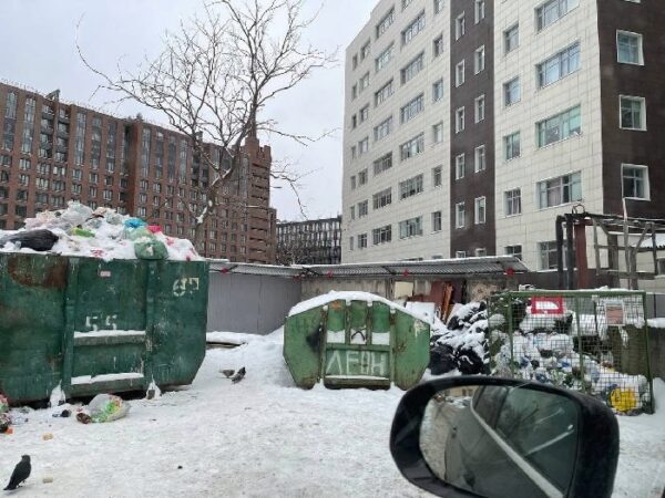 НЭО до сих пор не может вывезти мусор из дворов на Пискаревском проспекте