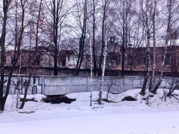 Вопреки обещаниям, в Петербурге сносят «Васильевский винный городок»