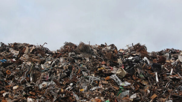 В Липецкой области за год ликвидировали 113 свалок мусора
