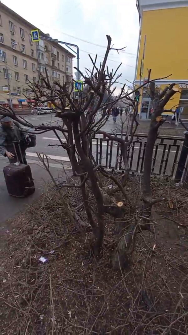 В ВАО Москвы жителям приходится останавливать варварские действия коммунальщиков