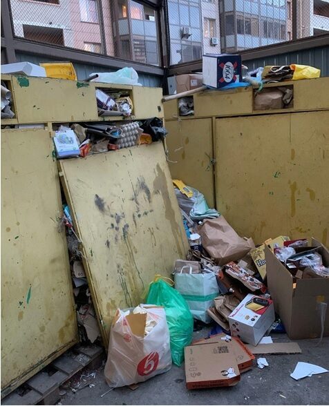 «Опасно для детей»: мусорный коллапс по-прежнему доставляет дискомфорт петербуржцам