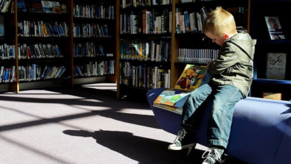 В Липецке появится смарт-библиотека для детей