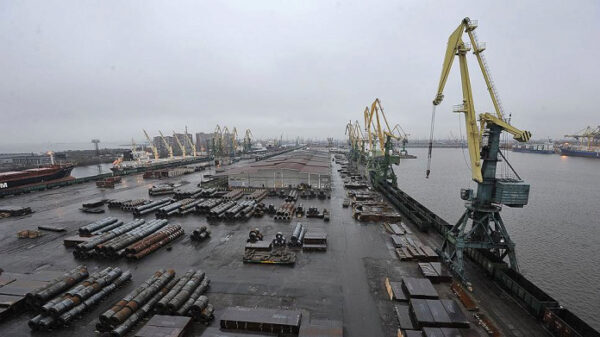 В порту Петербурга грузооборот снизился почти вдвое