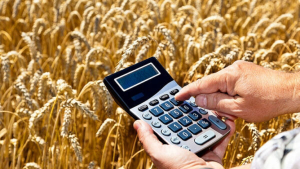 За прошлый год липецкие аграрии принесли в региональный бюджет 33 миллиарда рублей