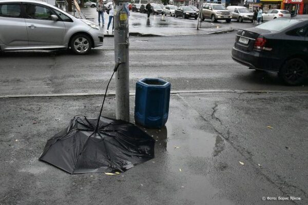 Начало новой недели в Свердловской области будет дождливым и ветреным