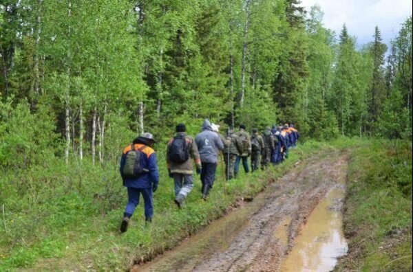 С начала года в свердловских лесах потерялся 21 человек