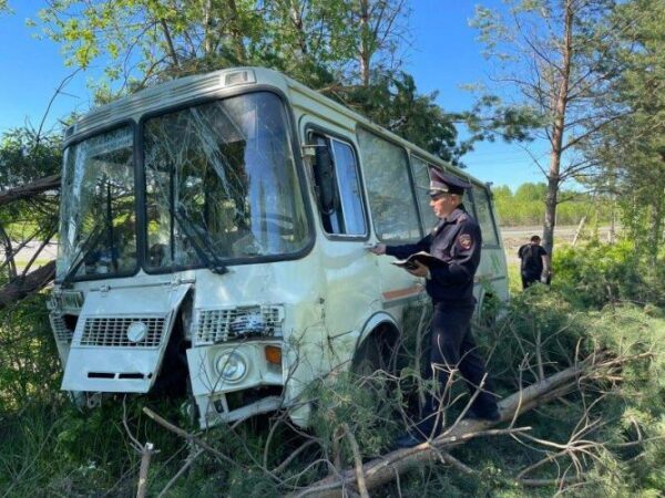 В Волчанске автобус с 25 пассажирами вылетел с дороги и врезался в дерево