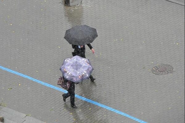 Конец недели в Свердловской области будет дождливым