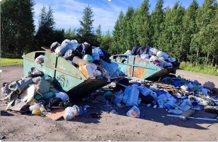 Петербуржцы жалуются на плохую работу НЭО и переполненные мусором баки